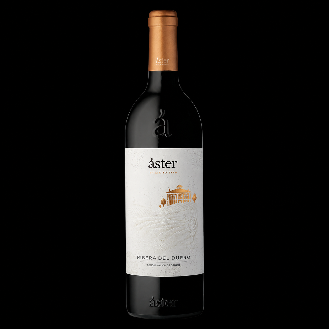 Áster